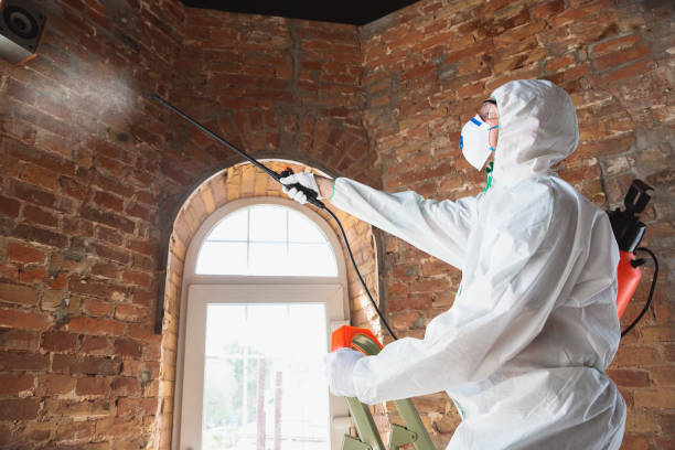 Asbestos and Lead Testing During Mold Inspection in Thousand Palms, CA