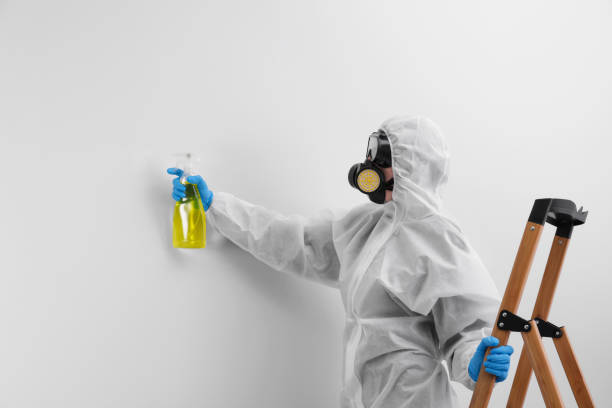 Professional Mold Removal & Remediation in Thousand Palms, CA